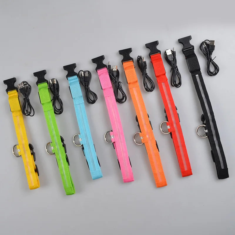 Collar LED ajustable para perros — visible de noche