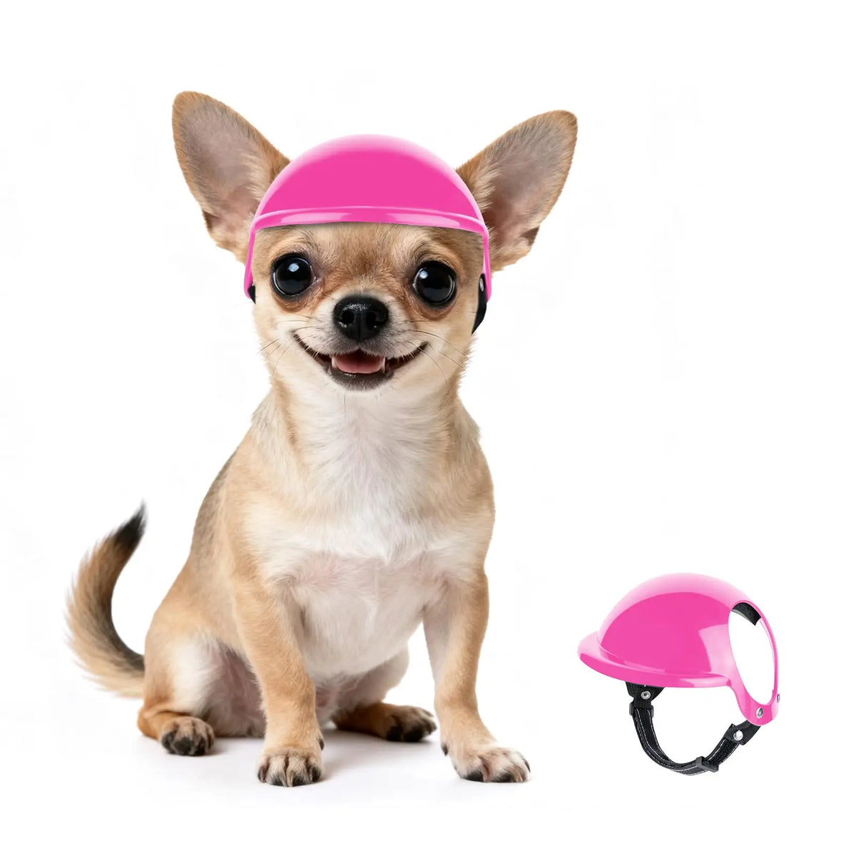 Casco y gafas de seguridad para perros y gatos
