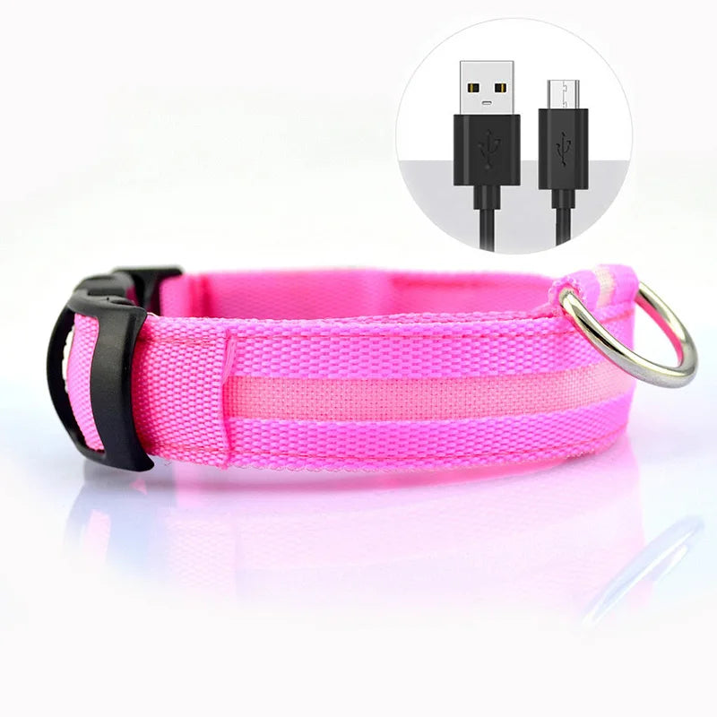 Collar LED ajustable para perros — visible de noche