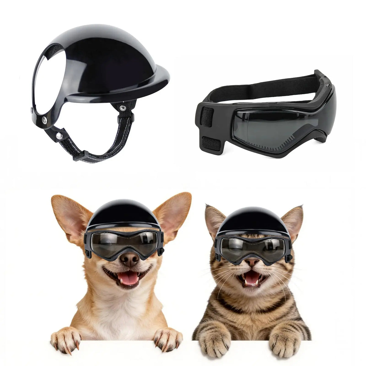 Casco y gafas de seguridad para perros y gatos