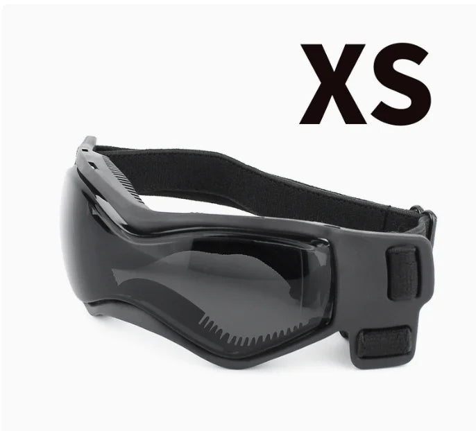 Casco y gafas de seguridad para perros y gatos