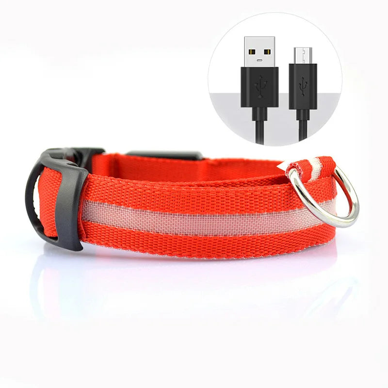 Collar LED ajustable para perros — visible de noche