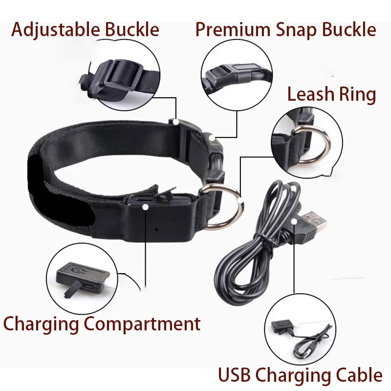 Collar LED ajustable para perros — visible de noche