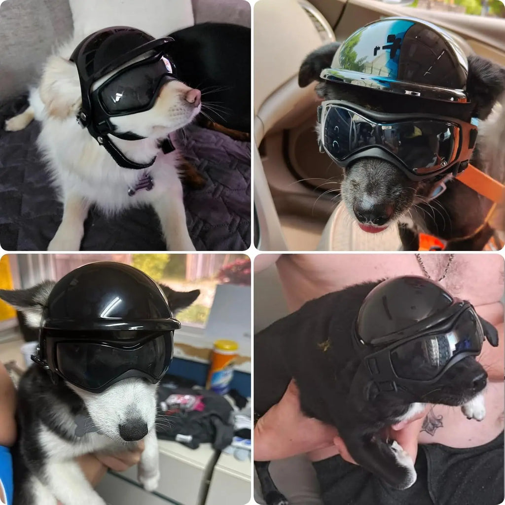 Casco y gafas de seguridad para perros y gatos