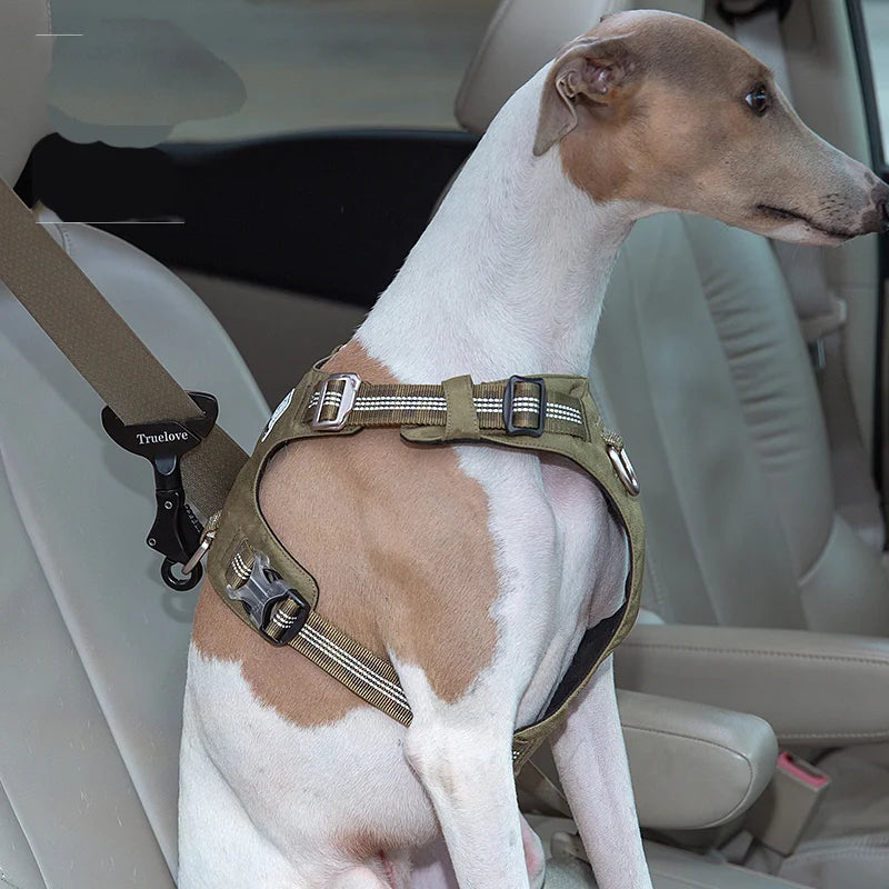 Cinturón de seguridad para mascotas — hebilla ajustable para coche