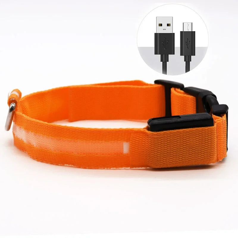 Collar LED ajustable para perros — visible de noche