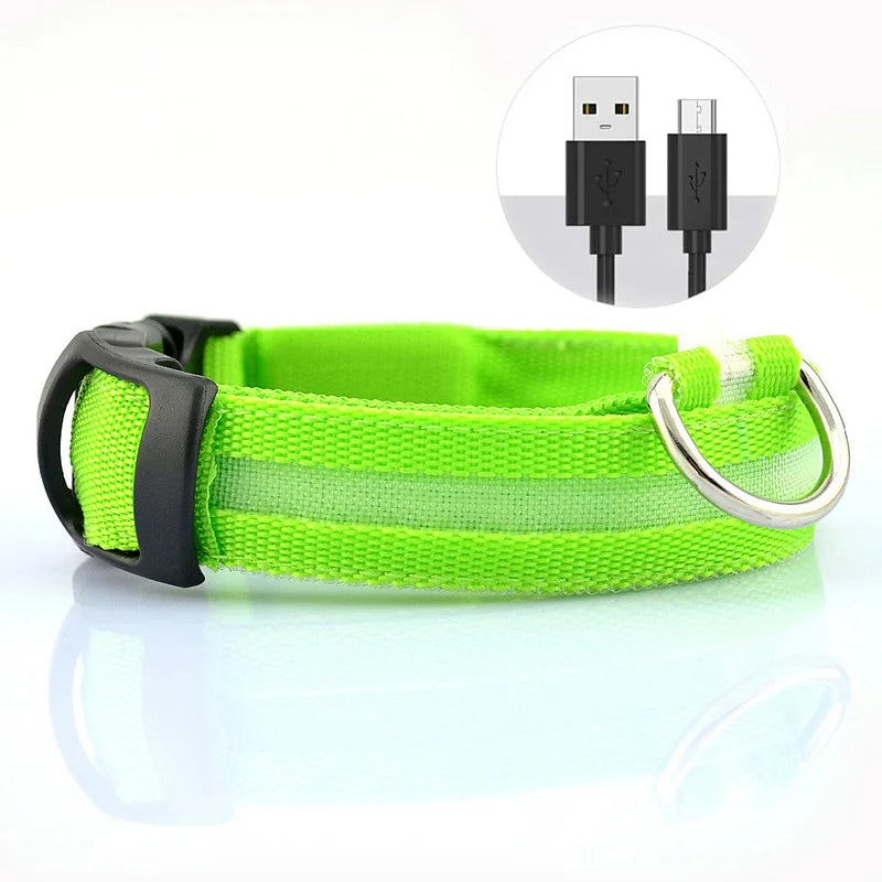 Collar LED ajustable para perros — visible de noche