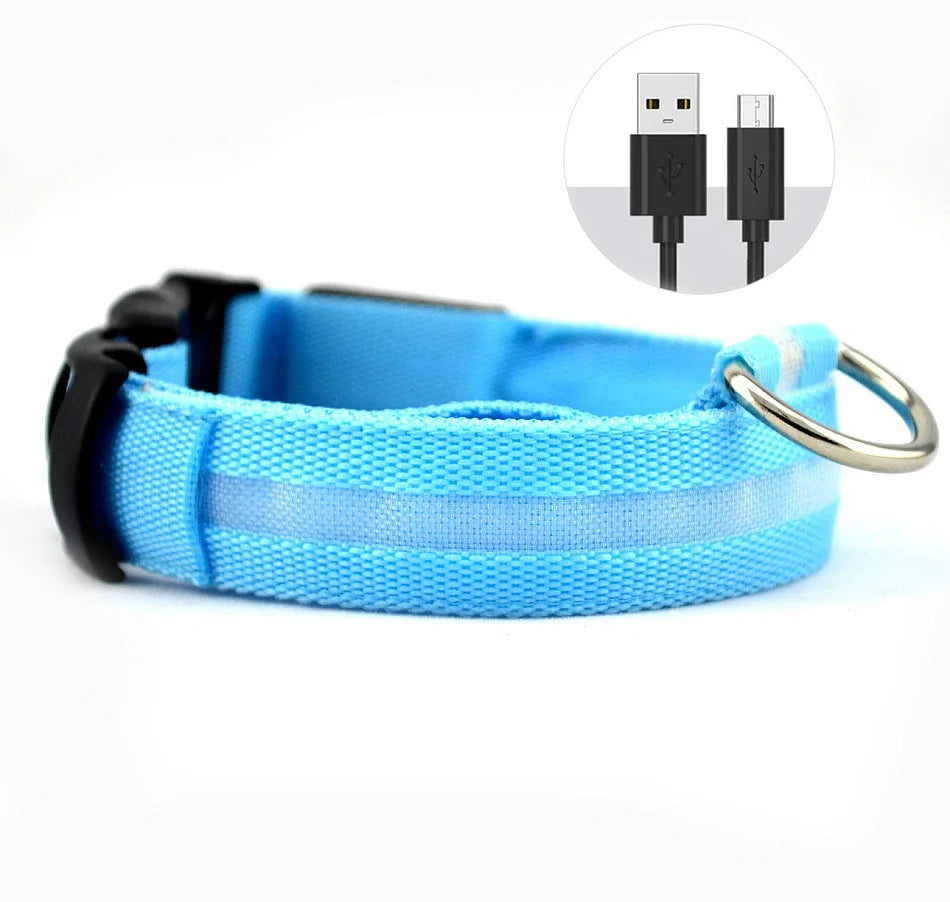 Collar LED ajustable para perros — visible de noche