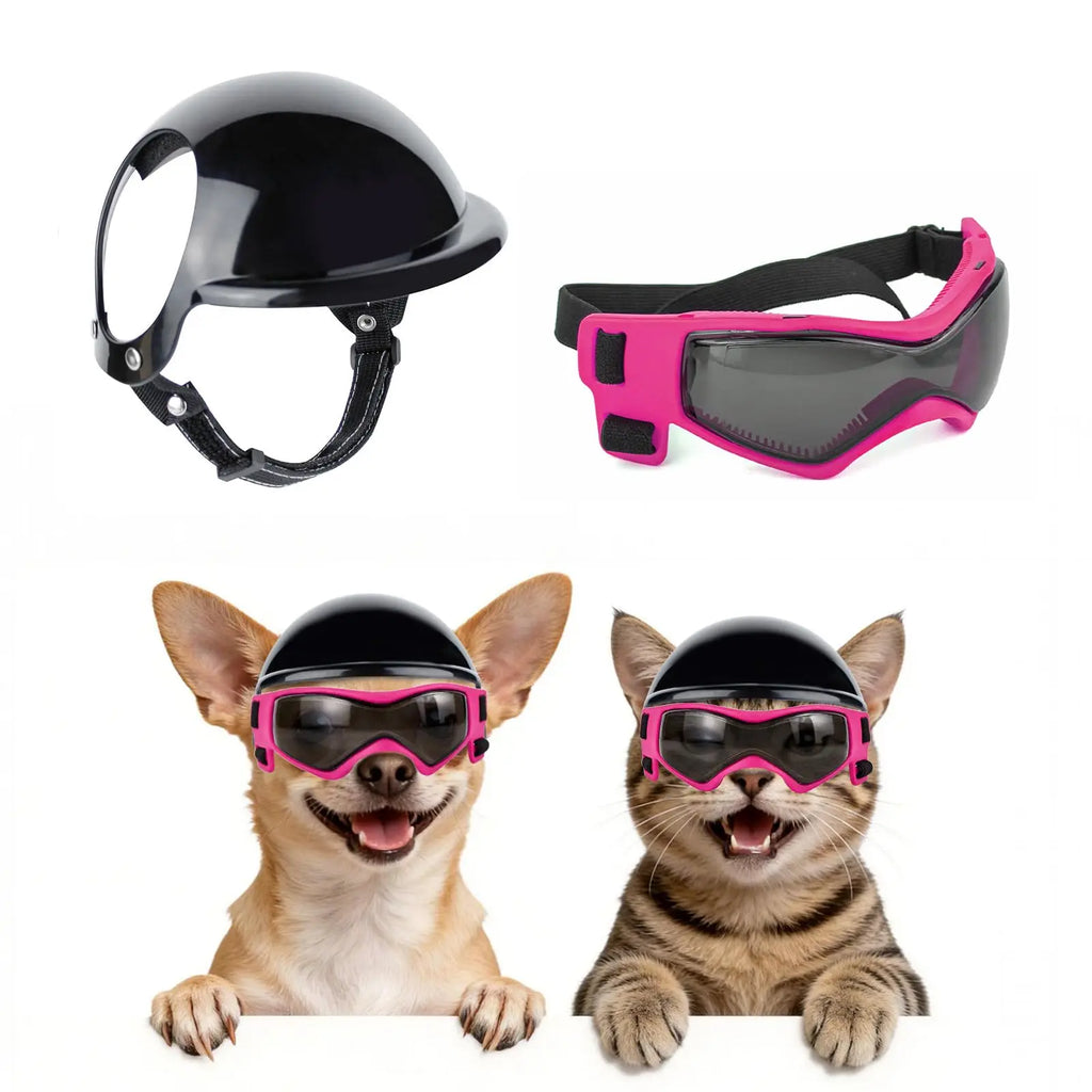 Casco y gafas de seguridad para perros y gatos