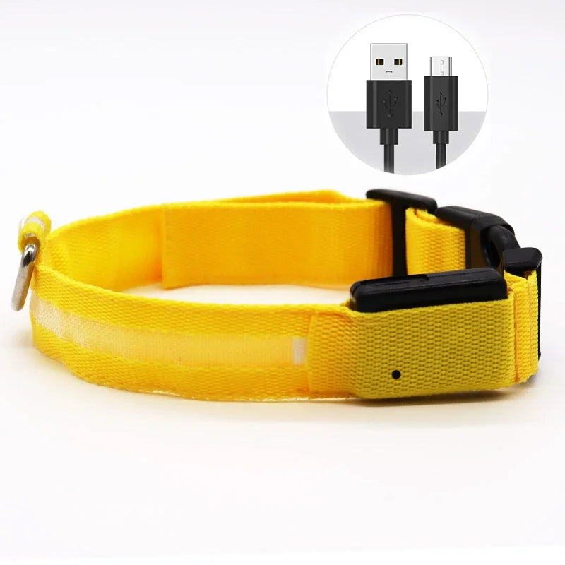 Collar LED ajustable para perros — visible de noche