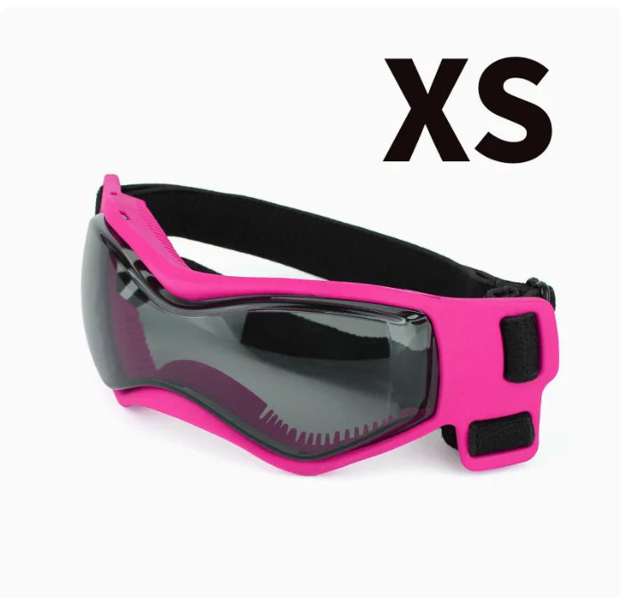Casco y gafas de seguridad para perros y gatos