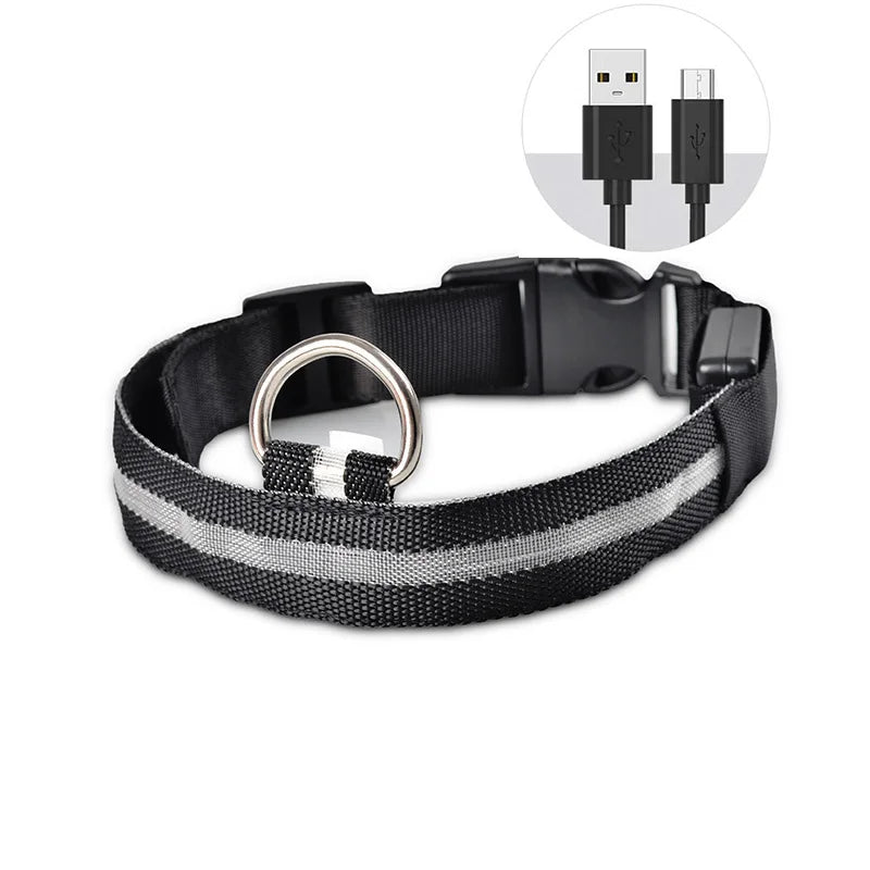 Collar LED ajustable para perros — visible de noche