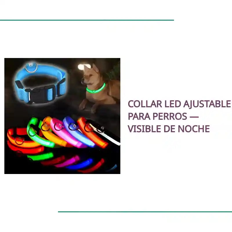 Collar LED ajustable para perros &mdash; visible de noche by@Outfy