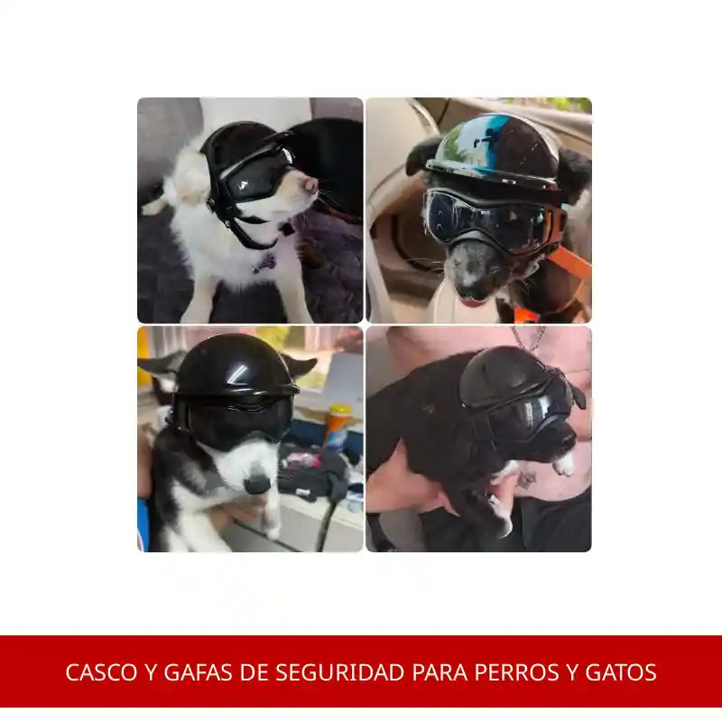Casco y gafas de seguridad para perros y gatos by@Outfy